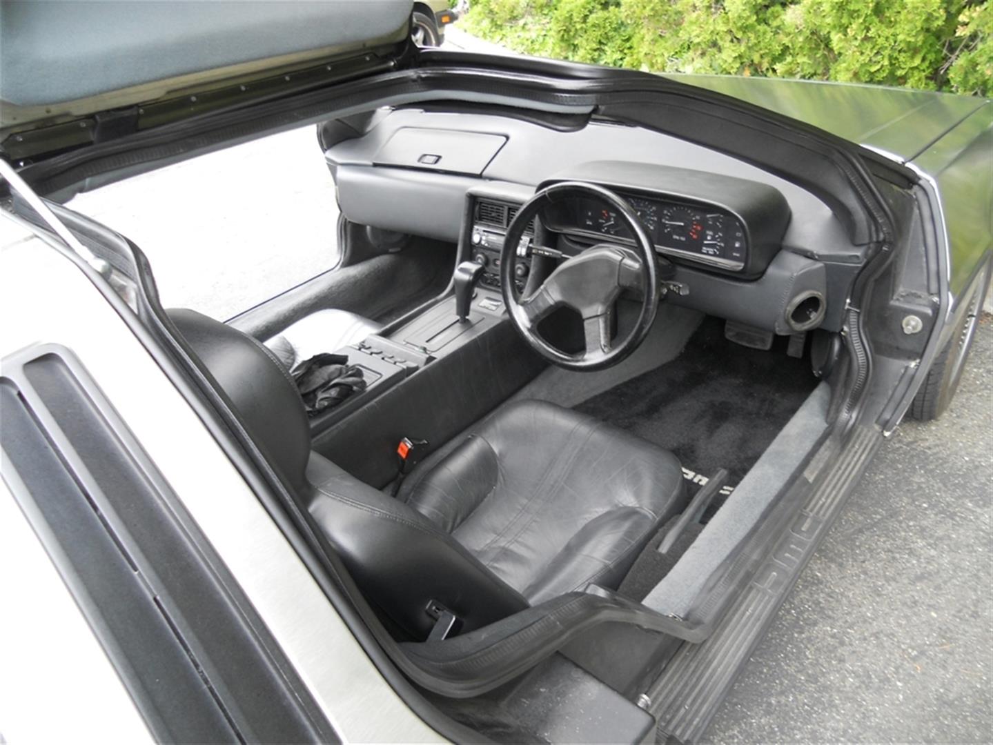 Vehicle Controls (10) | DeLoreanDirectory.com